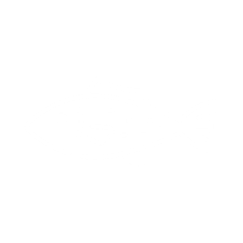 Icona pesce